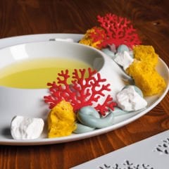 Pavoni GG027 GOURMAND CORAL Silikon Kalıp 300x200 mm (Mercan)