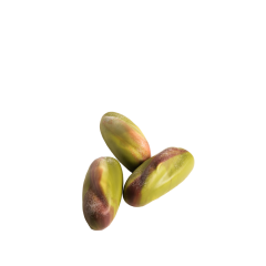 Silikon Kalıp Antep Fıstığı