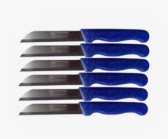 Solingen 6'lı Meyve Sebze Bıçak Seti Mavi