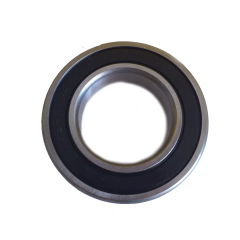 Rulman 6007-2RS