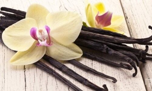 DR.GUSTO EDT.ÇUBUK VANİLYA 10 LU